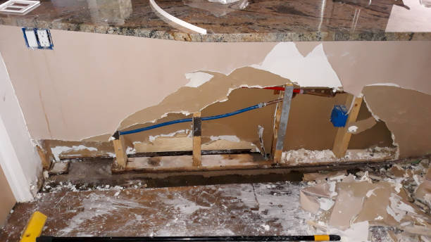 Best Local water damage restoration  in Le Claire, IA
