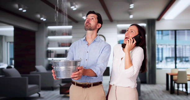 Best Basement water damage restoration  in Le Claire, IA